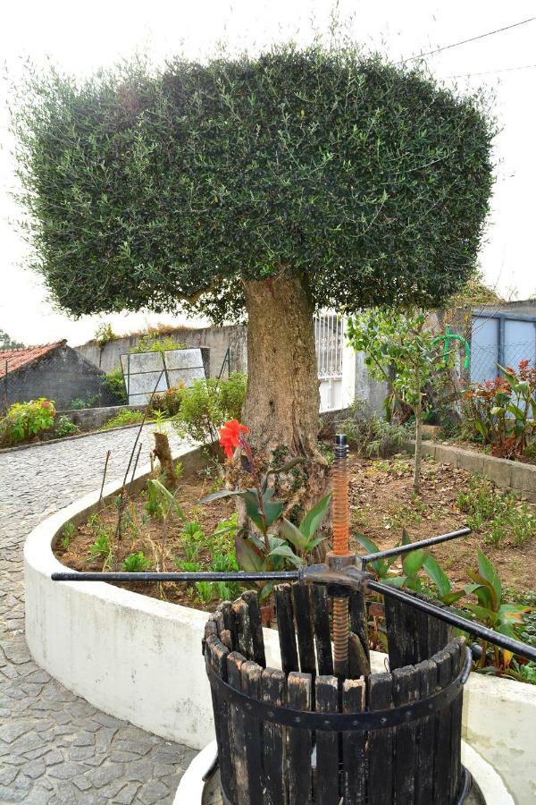 Casa Rebelo Konuk evi Cossourado  Dış mekan fotoğraf