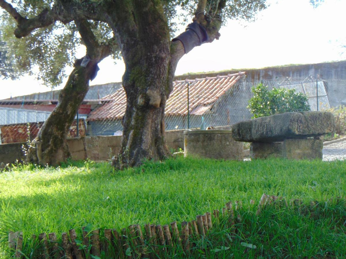 Casa Rebelo Konuk evi Cossourado  Dış mekan fotoğraf